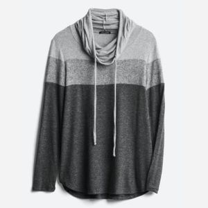 Poplar Cowl Neck Brushed Knit Top